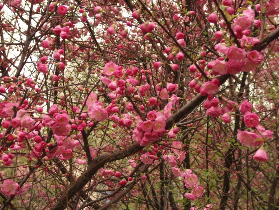 《四季》课件_第2页