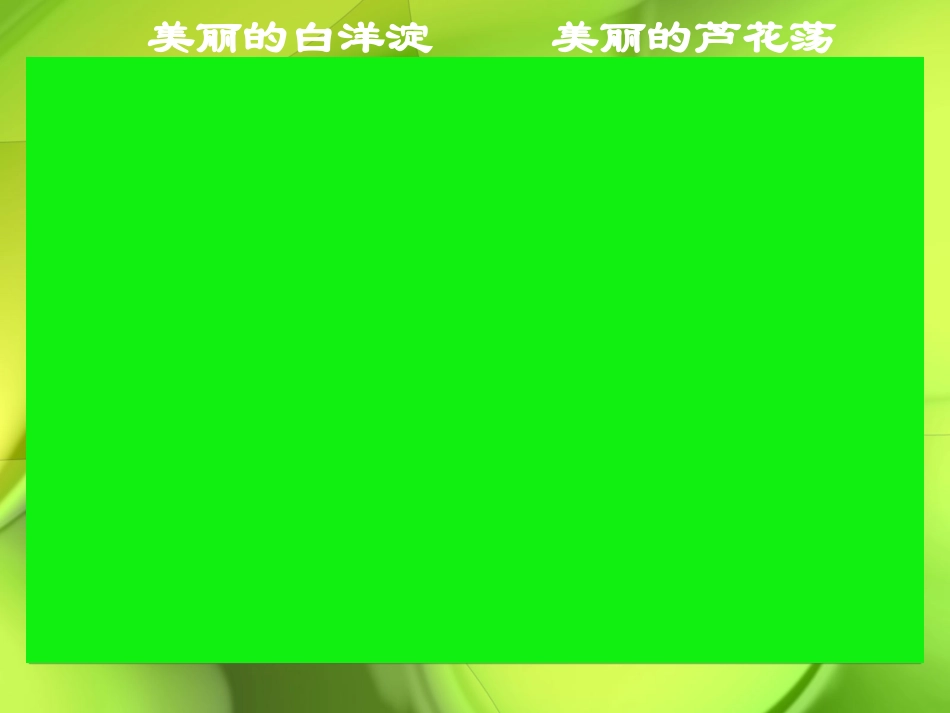 (中小学精品）人教版《芦花荡》_第1页
