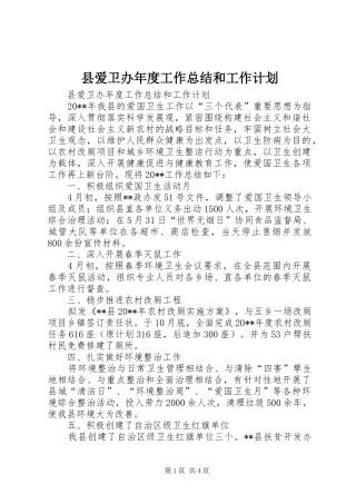 县爱卫办年度工作总结和工作计划