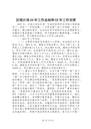 区统计局XX年工作总结和XX年工作安排