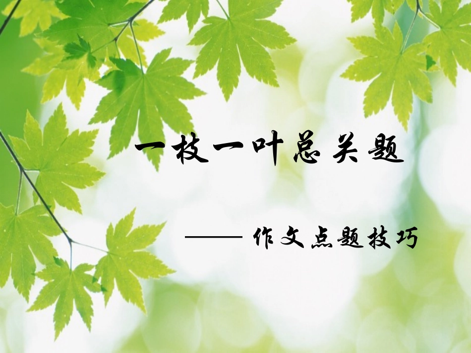 一枝一叶总关题_第1页