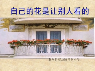 自己的花是让别人看的第二课时