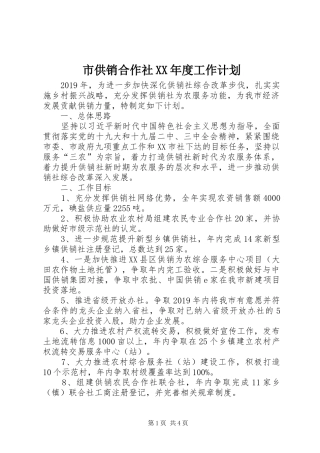 市供销合作社XX年度工作计划