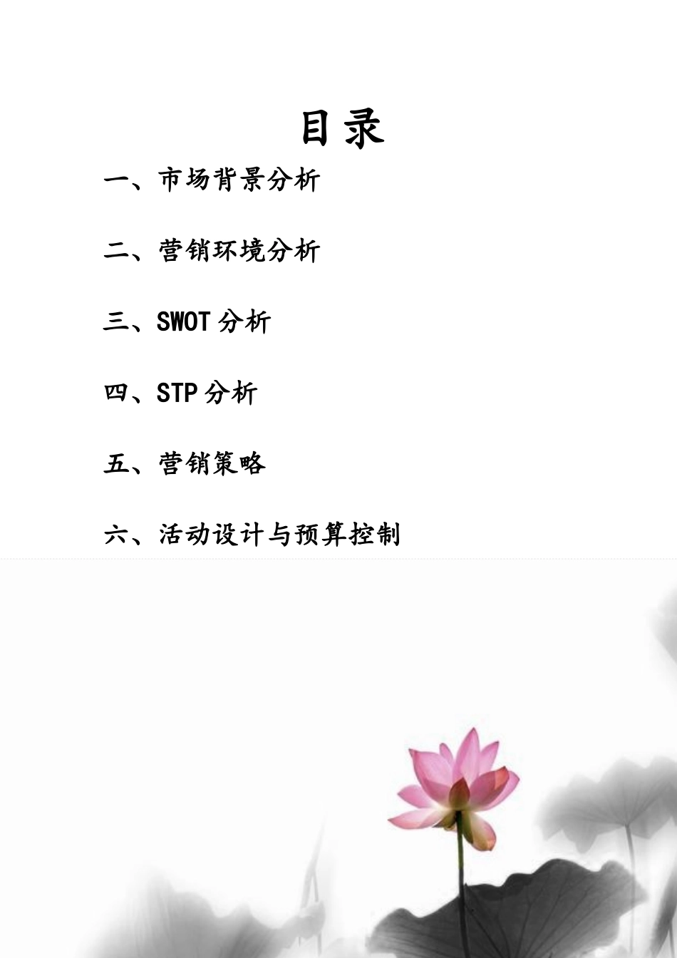 神舟笔记本高校营销策划方案_第2页