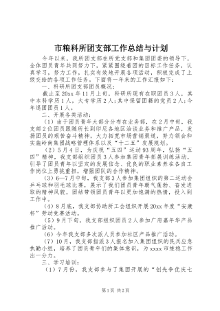 市粮科所团支部工作总结与计划