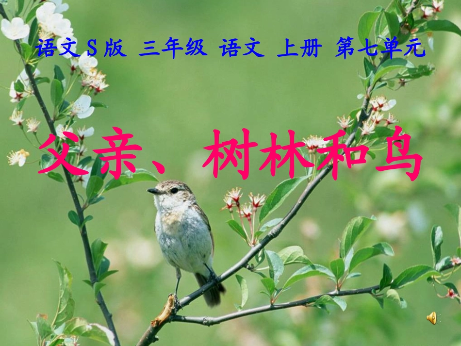 《父亲、树林和鸟》课件（语文S版三年级语文上册课件）_第1页