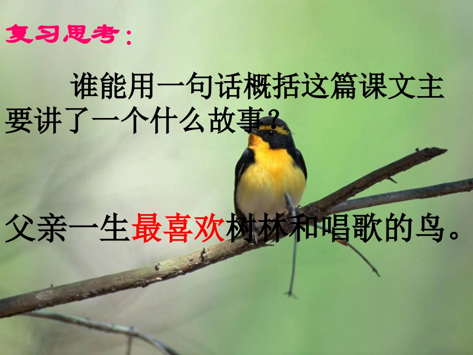 《父亲、树林和鸟》课件（语文S版三年级语文上册课件）_第2页