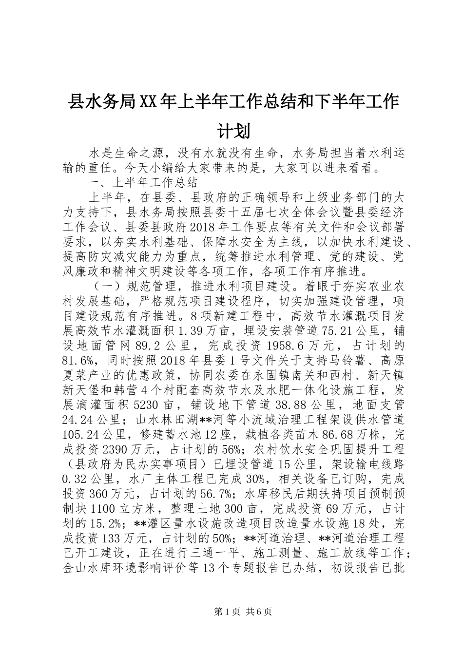 县水务局XX年上半年工作总结和下半年工作计划_第1页