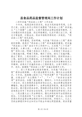 县食品药品监督管理局工作计划