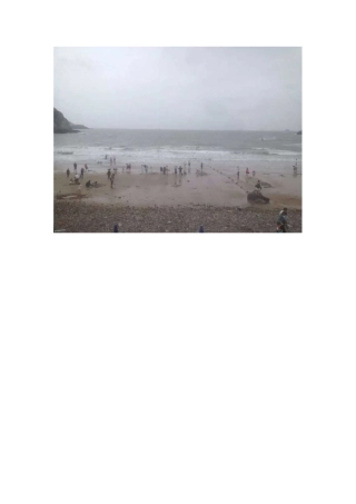 耐心工作、快乐游玩