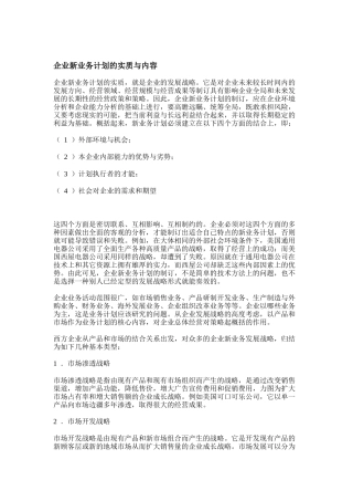 企业新业务计划的实质与内容（23页）