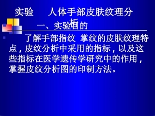 人体手部皮纹理遗传分析