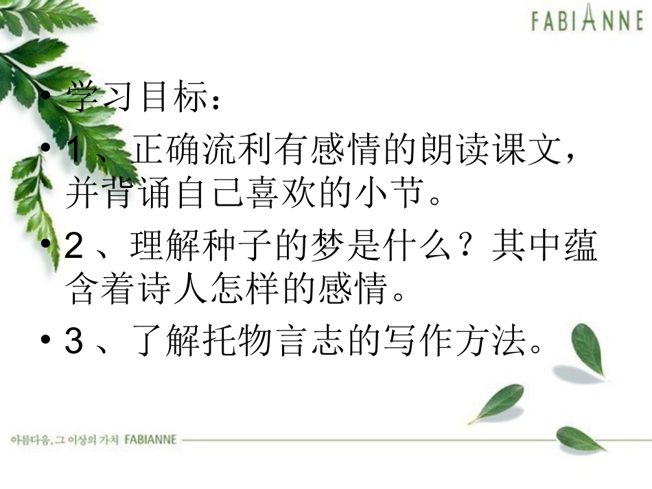种子的梦课件_第2页