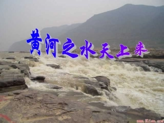 《黄河之水天上来》