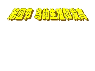 鸟类的生殖与发育