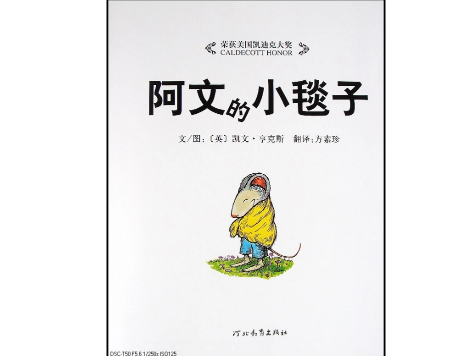（中小学精品）阿文的小毯子_第3页