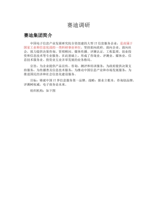 赛迪集团业务总览