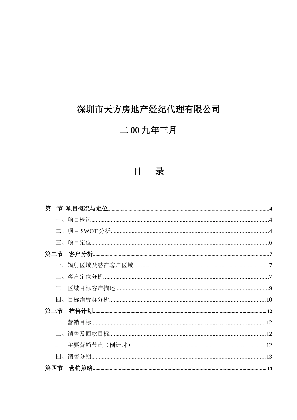 某集团营销执行报告_第2页
