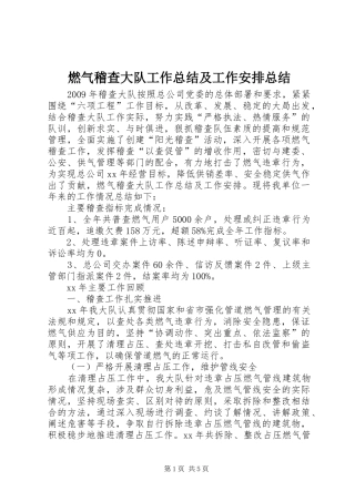 燃气稽查大队工作总结及工作安排总结