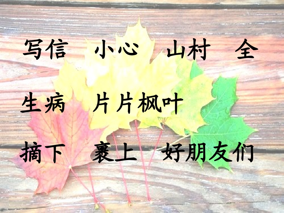 秋姑娘的信__课件_第2页