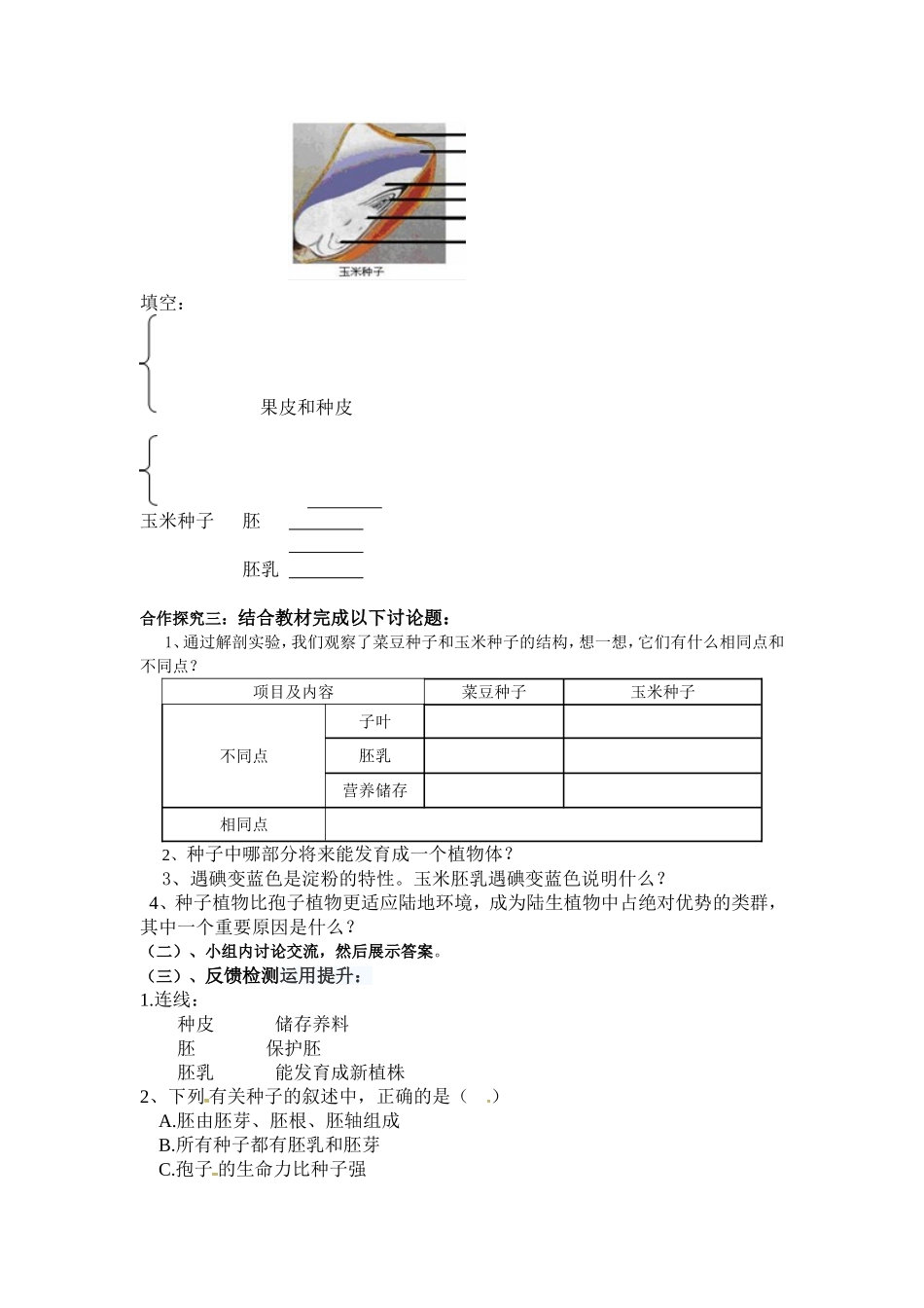 （中小学精品）第一章第二节种子植物_第2页