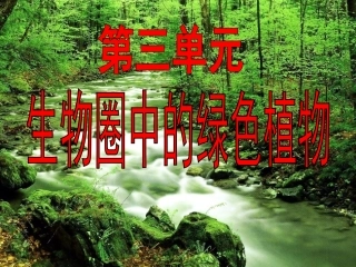 藻类、苔藓、蕨类植物