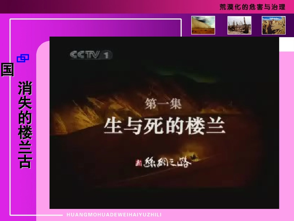 荒漠化危害与治理_第2页