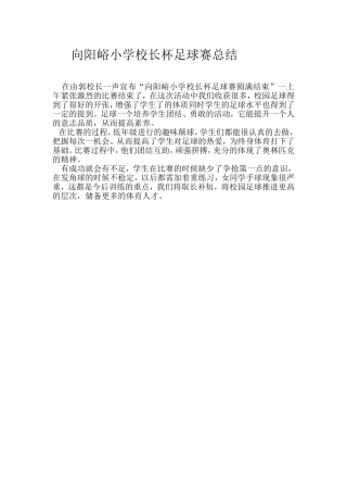 校长杯足球赛总结