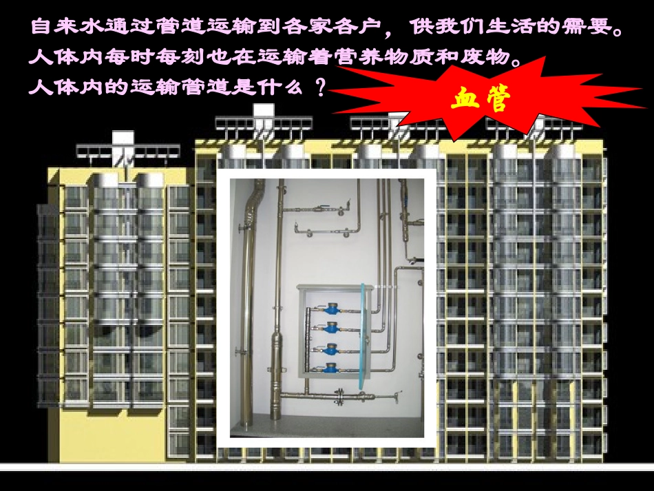 一人体内的血管_第3页