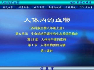 一人体内的血管