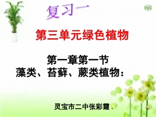 复习课第三单元绿色植物