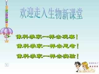 第一节+光合作用