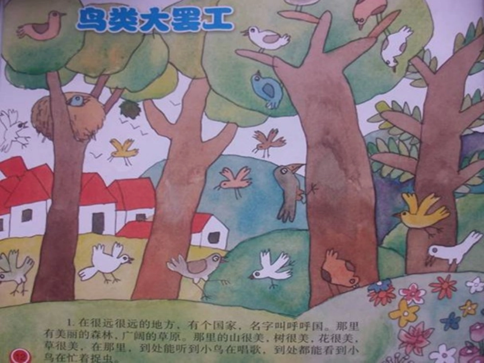 中班社会：鸟类大罢工_第1页