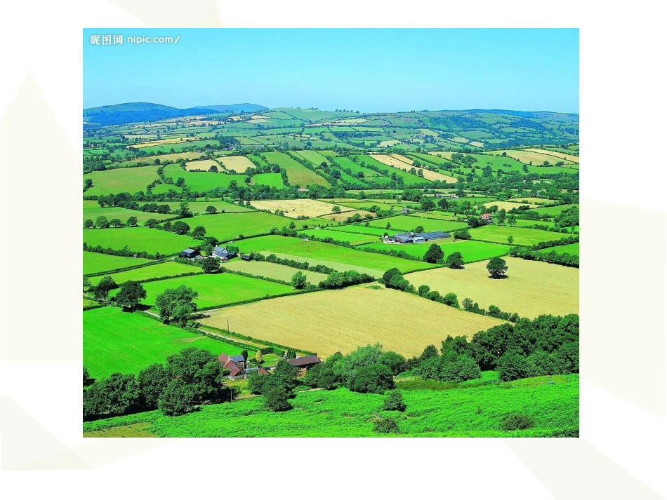 人教版六年级数学上册《数学广角》数与形_第3页