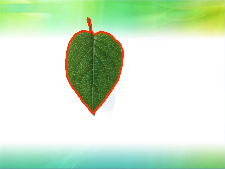 认识周长（修改版）_第3页