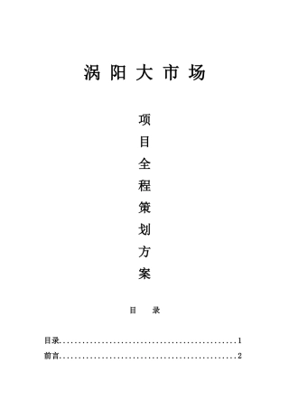 涡阳大市场全程营销策划方案(修改2)