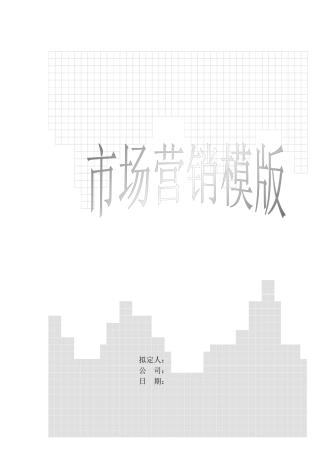 营销分析模版(1)