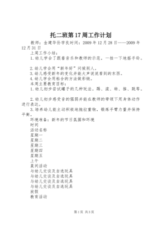 托二班第17周工作计划
