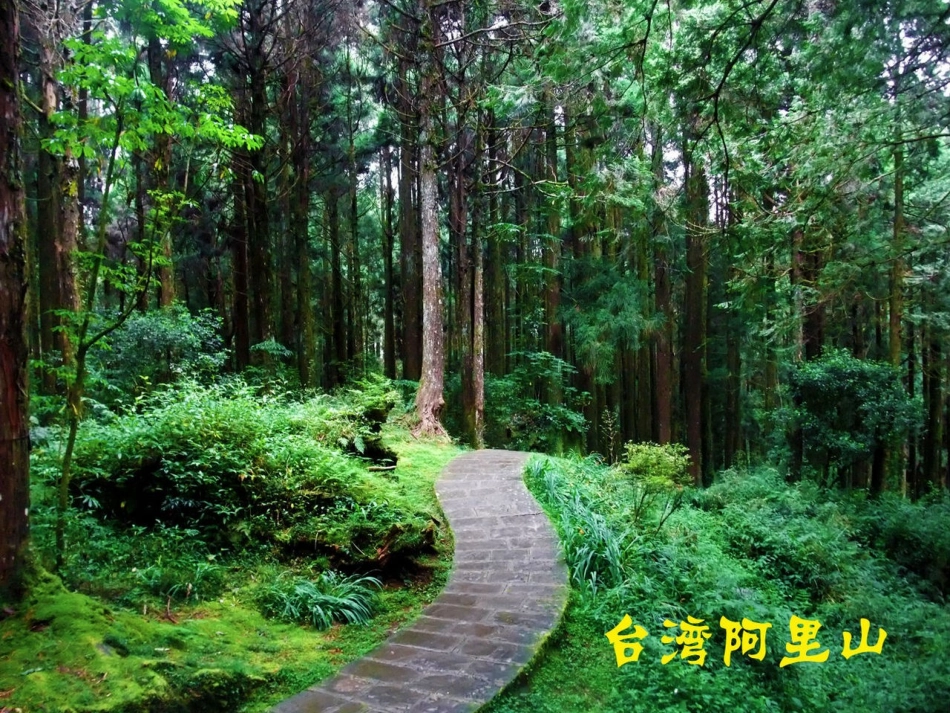 《难忘的一课》课件_第3页