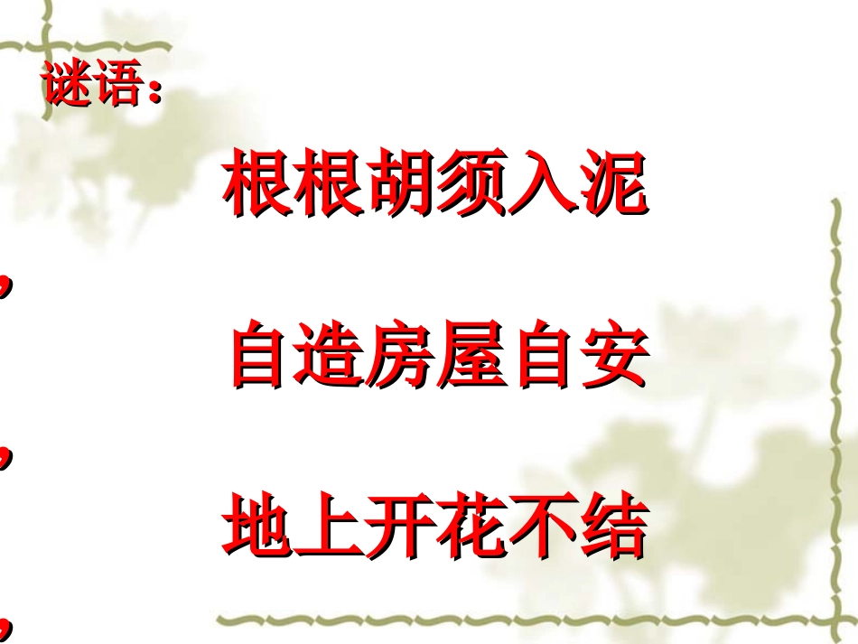 《落花生》完稿_第2页