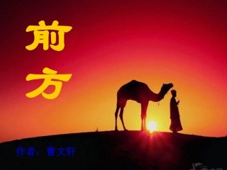 李丽梅——前方