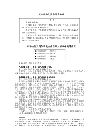 客户服务的竞争环境分析讲义