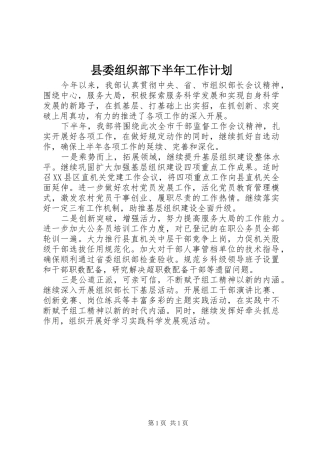 县委组织部下半年工作计划
