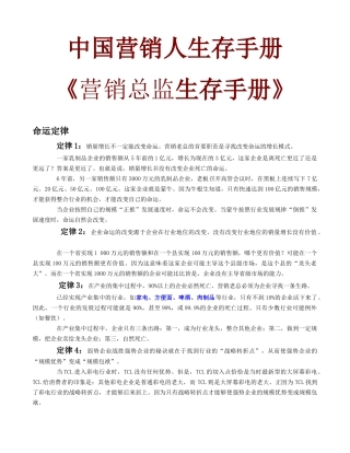 营销总监工作手册