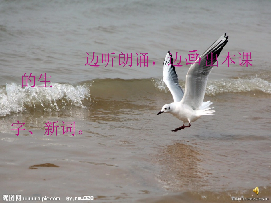 老人与海鸥(第一课时)_第2页