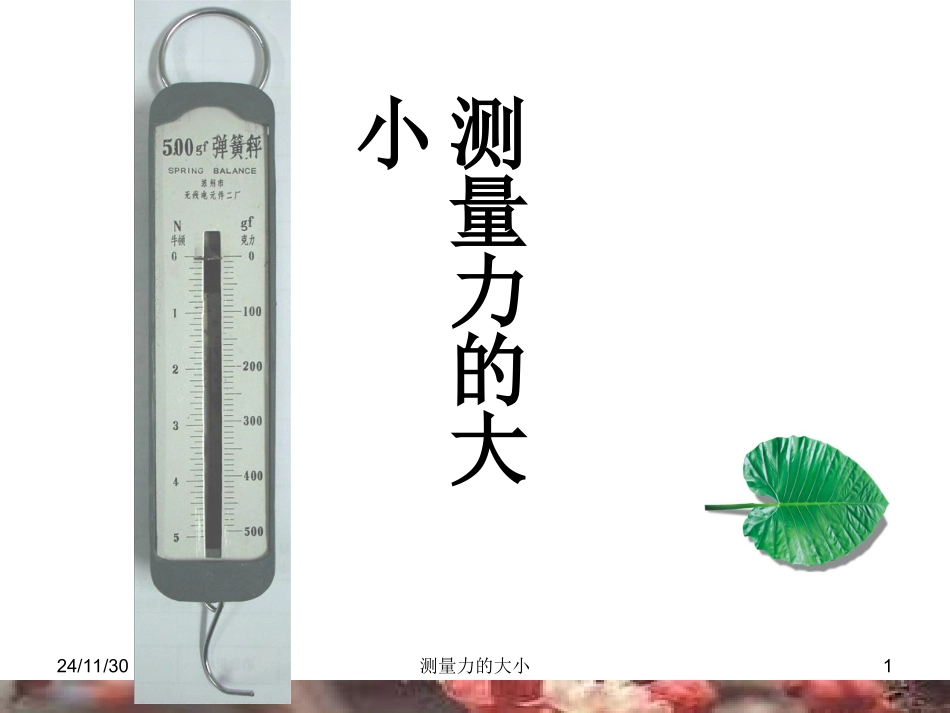 教科版科学五年级上测量力的大小课件_第1页