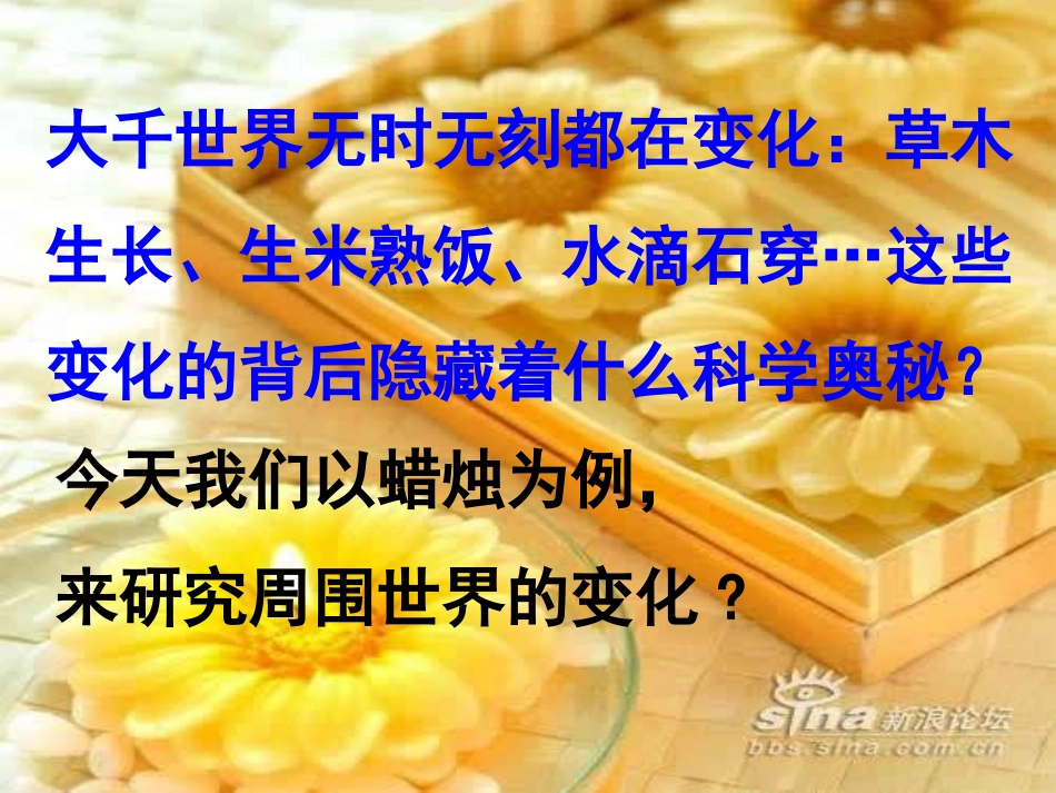 六上《蜡烛的变化》_第2页
