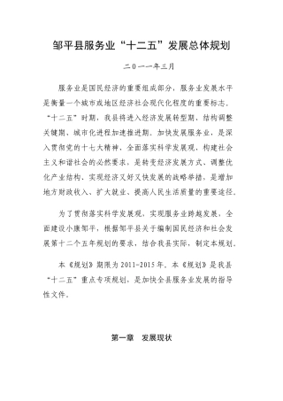 邹平县服务业十二五发展总体规划