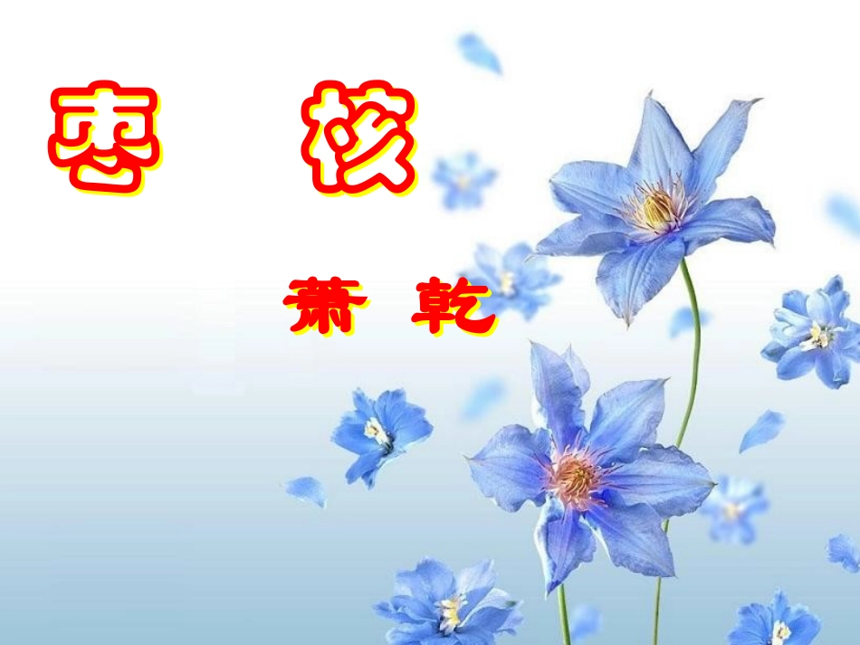 《枣核》课件_第1页