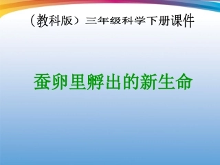 蚕卵里孵出的新生命